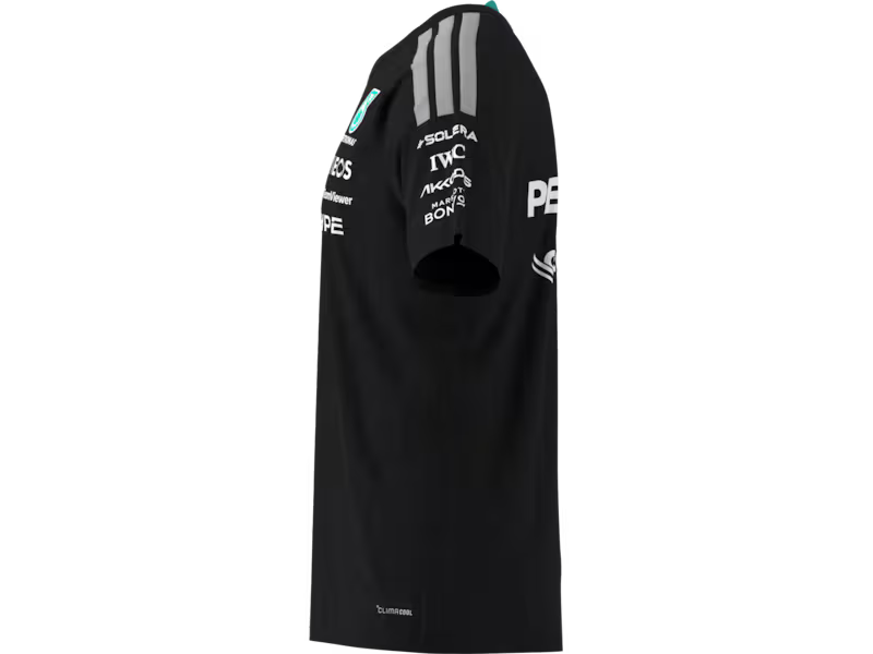 t-shirt da uomo, conducente, mercedes-amg f1
